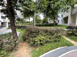 Blk 293C Skypeak @ Bukit Batok (Bukit Batok), HDB 4 Rooms #557116721